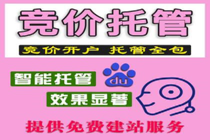 竞价广告推广成功案例：看这家公司如何玩转竞价市场